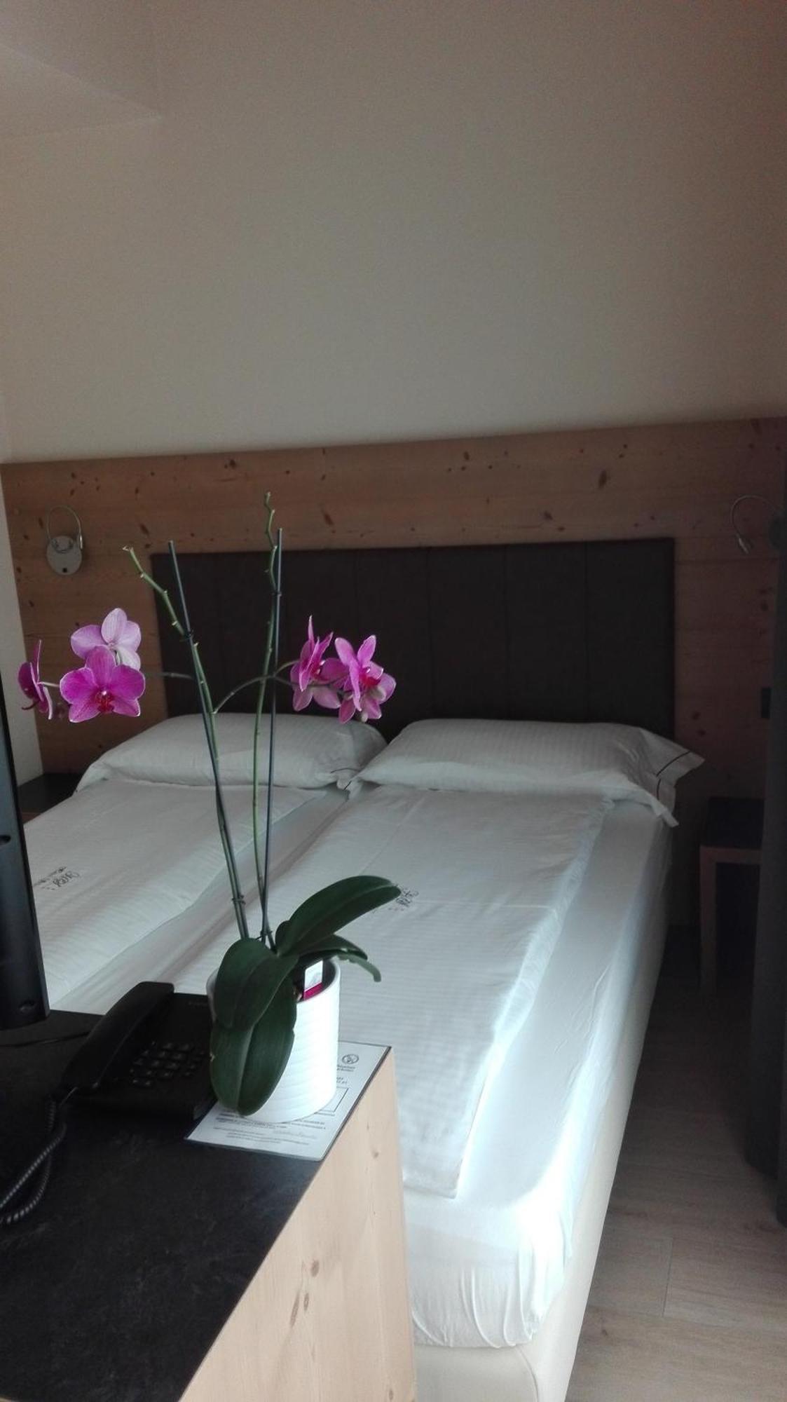 Hotel Silvestri Livigno Rum bild